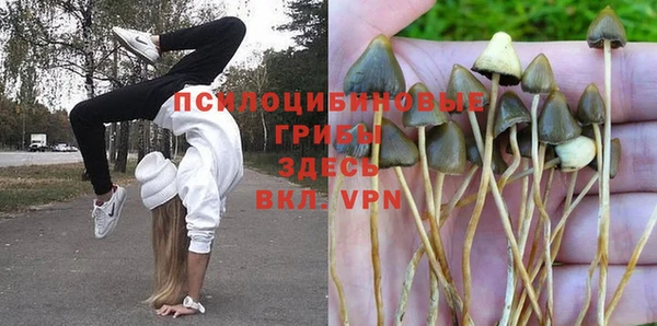 2c-b Ладушкин