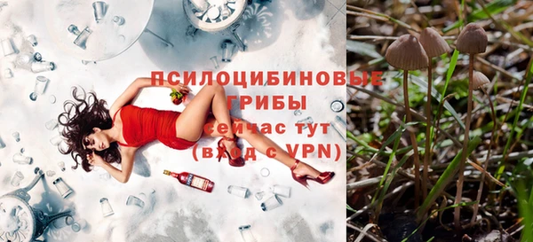 шишки Осинники