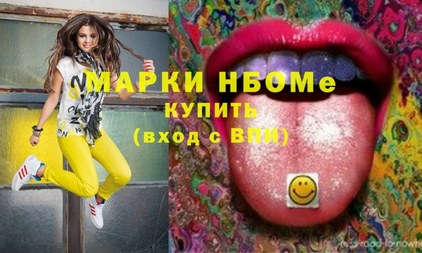 шишки Осинники