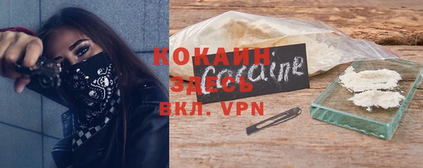 шишки Осинники